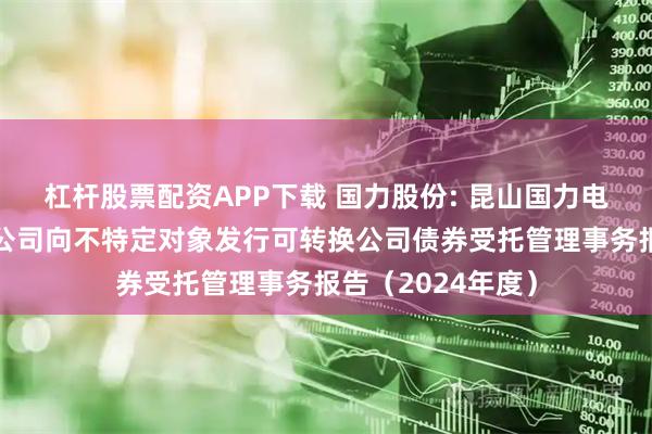 杠杆股票配资APP下载 国力股份: 昆山国力电子科技股份有限公司向不特定对象发行可转换公司债券受托管理事务报告(2024年度)