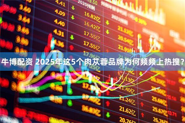 牛博配资 2025年这5个肉苁蓉品牌为何频频上热搜?