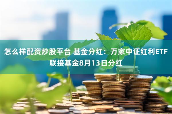 怎么样配资炒股平台 基金分红:万家中证红利ETF联接基金8月13日分红